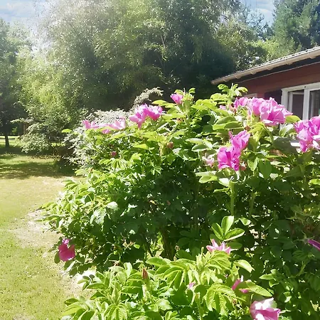 De 2 Avec Jardin Amenage A Et Boves Chalet